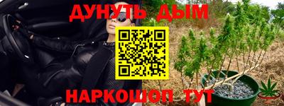 каннабис Гусиноозёрск