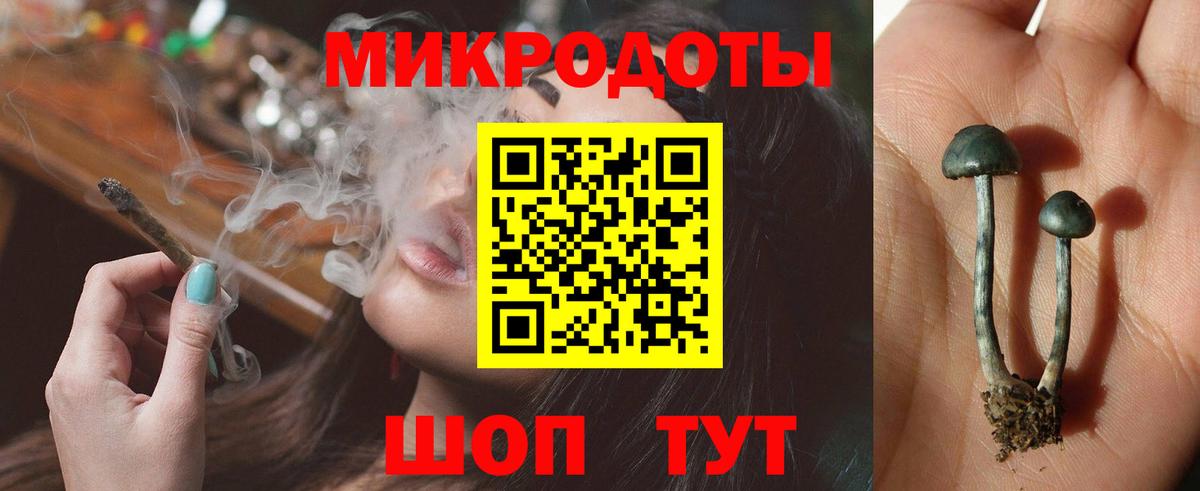 Миасс  Галлюциногенные грибы прущие грибы  Вход с VPN 